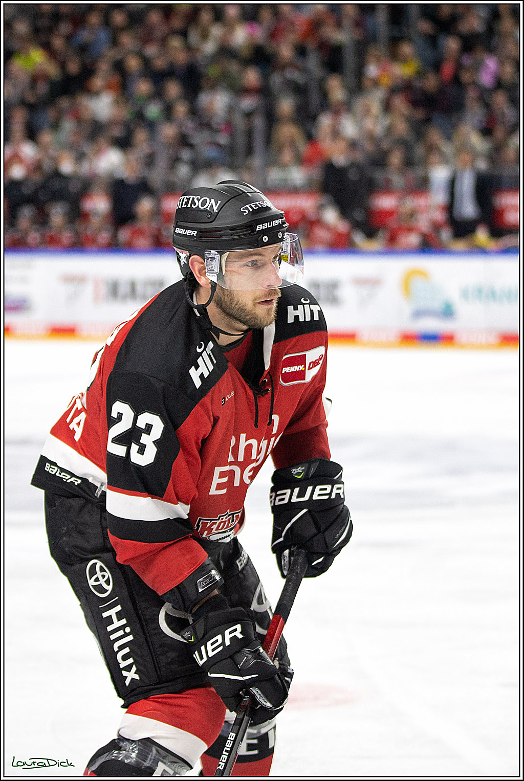 PENNY DEL; Koelner Haie- Bietigheim Steelers; Koeln, 19.11.2021
